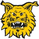 Tampereen Ilves
